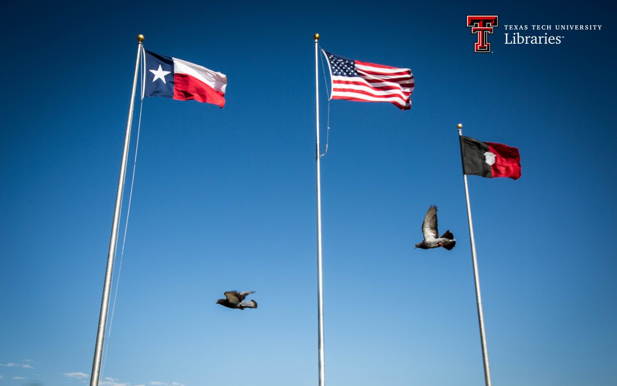TexasTechLib's tweet photo. "As we express our gratitude, we must never forget that the highest appreciation is not to utter words, but to live by them." - John F. Kennedy
.
.
#MemorialDay #InMemoryOfMany #InHonorOfAll https://t.co/xs22ynCNTZ