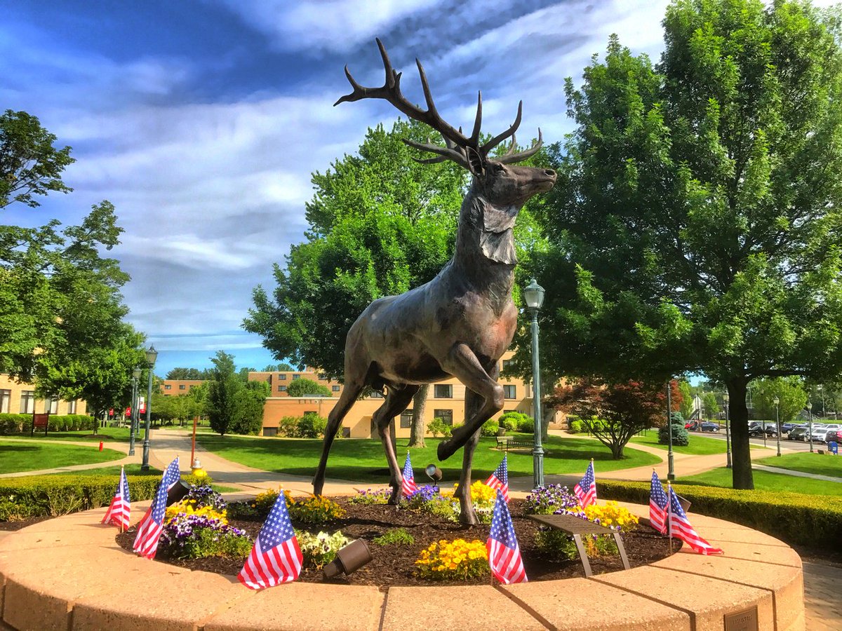 Fairfield University 🦌 tweet media