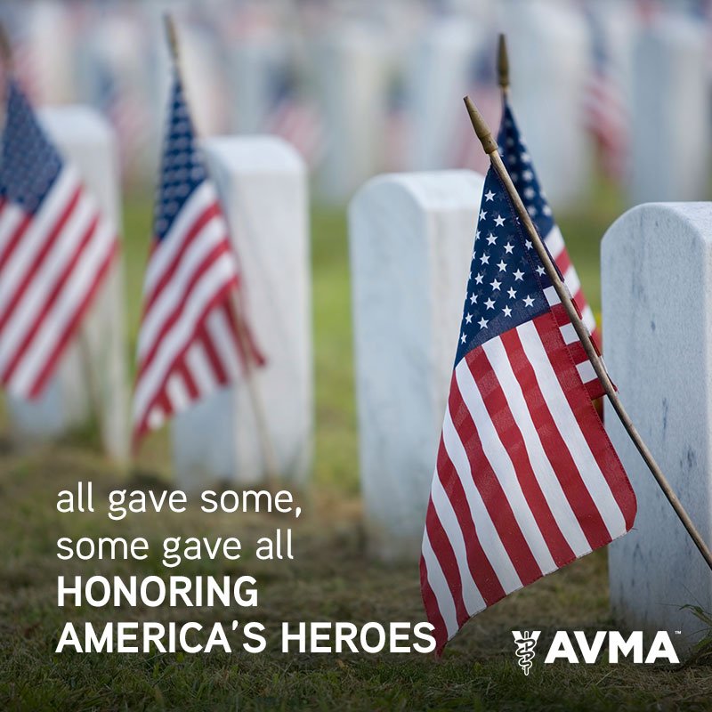 AVMAvets's tweet photo. Today, we honor America's fallen heroes, including the military animals who served alongside their handlers and comrades. #MemorialDay https://t.co/gUjuxtt6oD