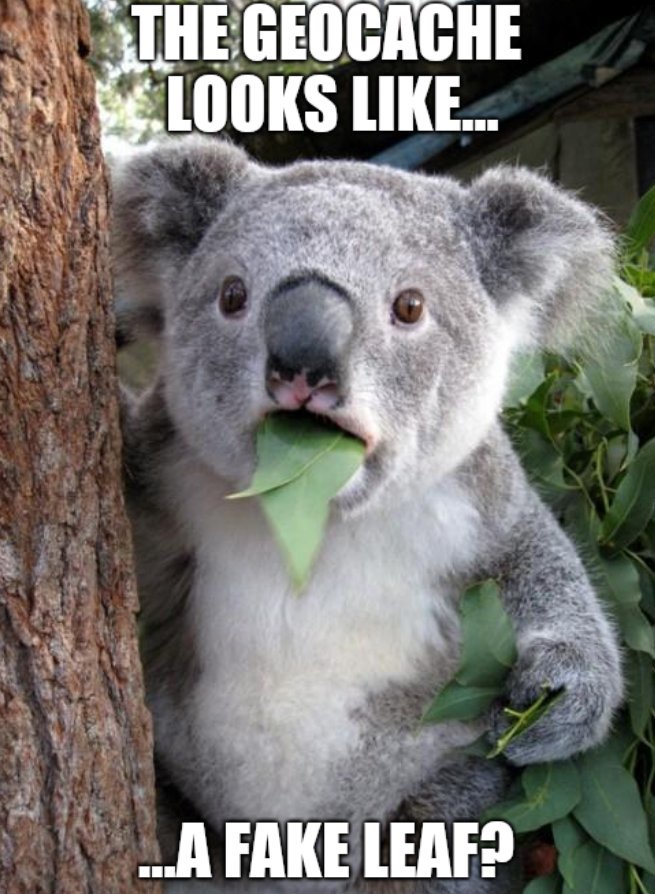 CacheCanada's tweet photo. It's Meme Monday again @CacheCanada Be careful when you @GoGeocaching not all #cache containers are #Tupperware

#Geocaching_TT #USGeocachingHour
#CacheCanada #Geocaching https://t.co/t8ggSZfrsM