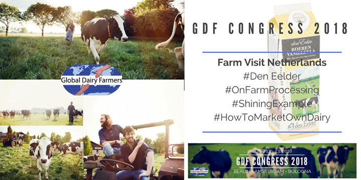 GDFnetwork's tweet image. EVENT | We'll visit den Eelder during our congress! #SuccessStory #OnFarmProcessing #DairyMarketing #OwnProductLine #Inspirational #Dairy #GDFcongress Curious? Check: globaldairyfarmers.com/congress