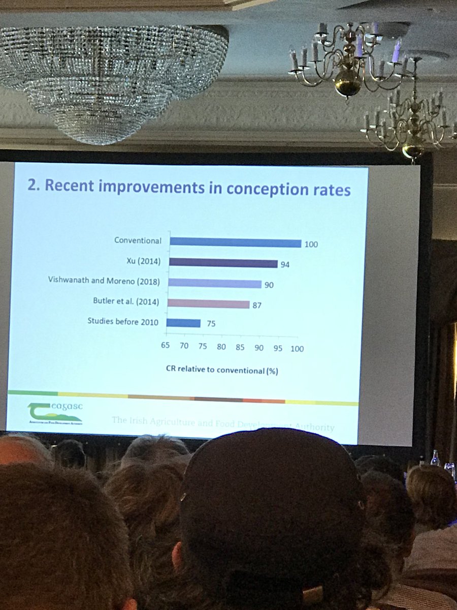 racheldoyle_'s tweet photo. Conception rates of sexed semen relative to conventional - Dr Stephen Butler @teagasc #bullfertility https://t.co/T80ZVyCqtD