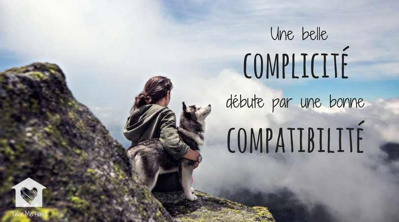 Choisir un chien qui nous correspond, c'est plus de bonheur et moins de risques d'abandons ! 💖 Comment faire ➡  goo.gl/1sZxxH