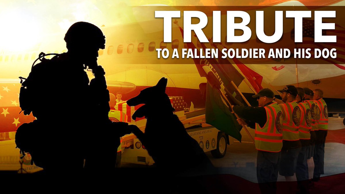 DD_onTheRock's tweet photo. Dear Lord you have made all creatures and you care about all. Not a bird falls in the field that you don't know of.
In memory of all military dogs and handlers that gave their lives to protect their fellow soilders. https://t.co/XxvIRUpocO