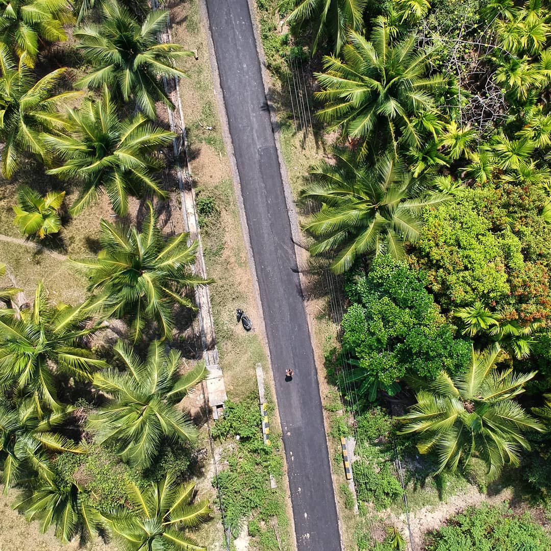 Birds have the best view! 
Shot on DJI Spark