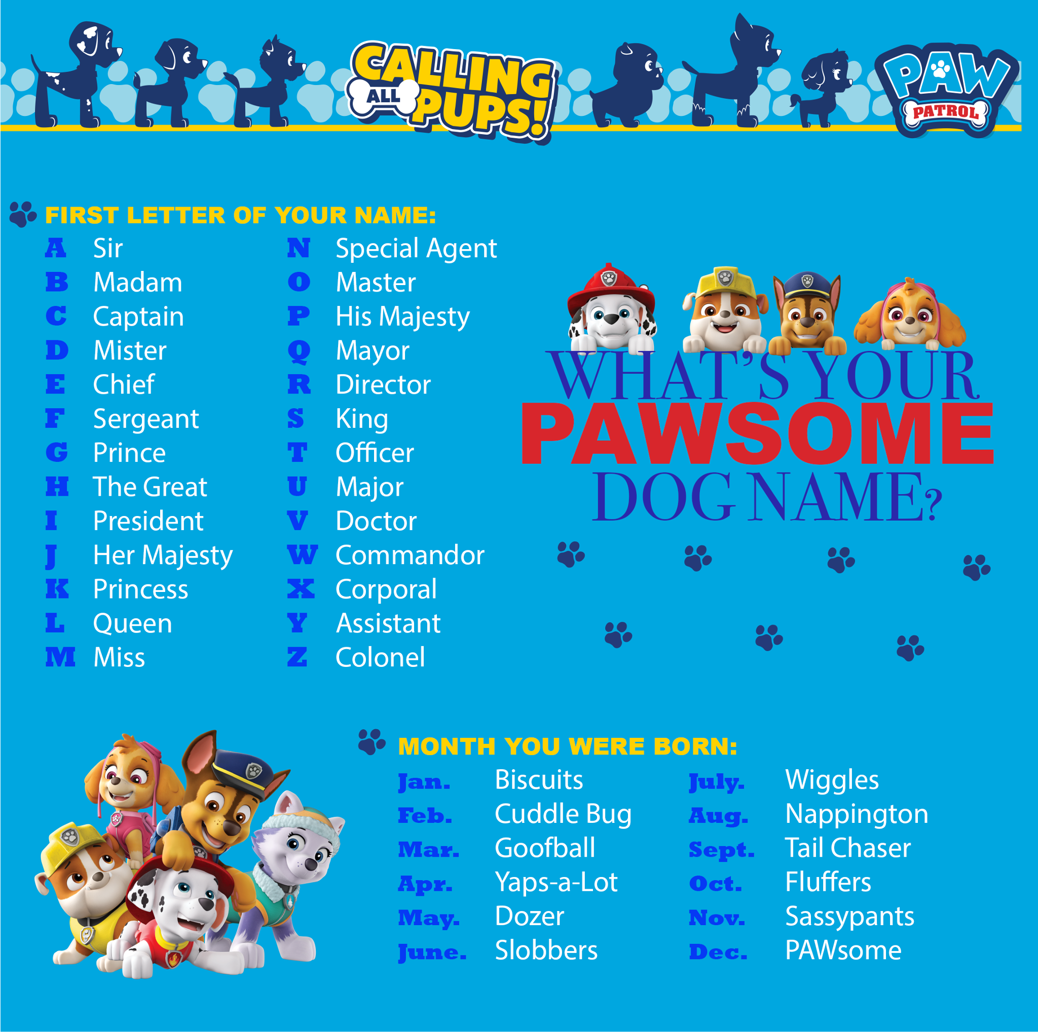 What Are All The Paw Patrol Dogs Names