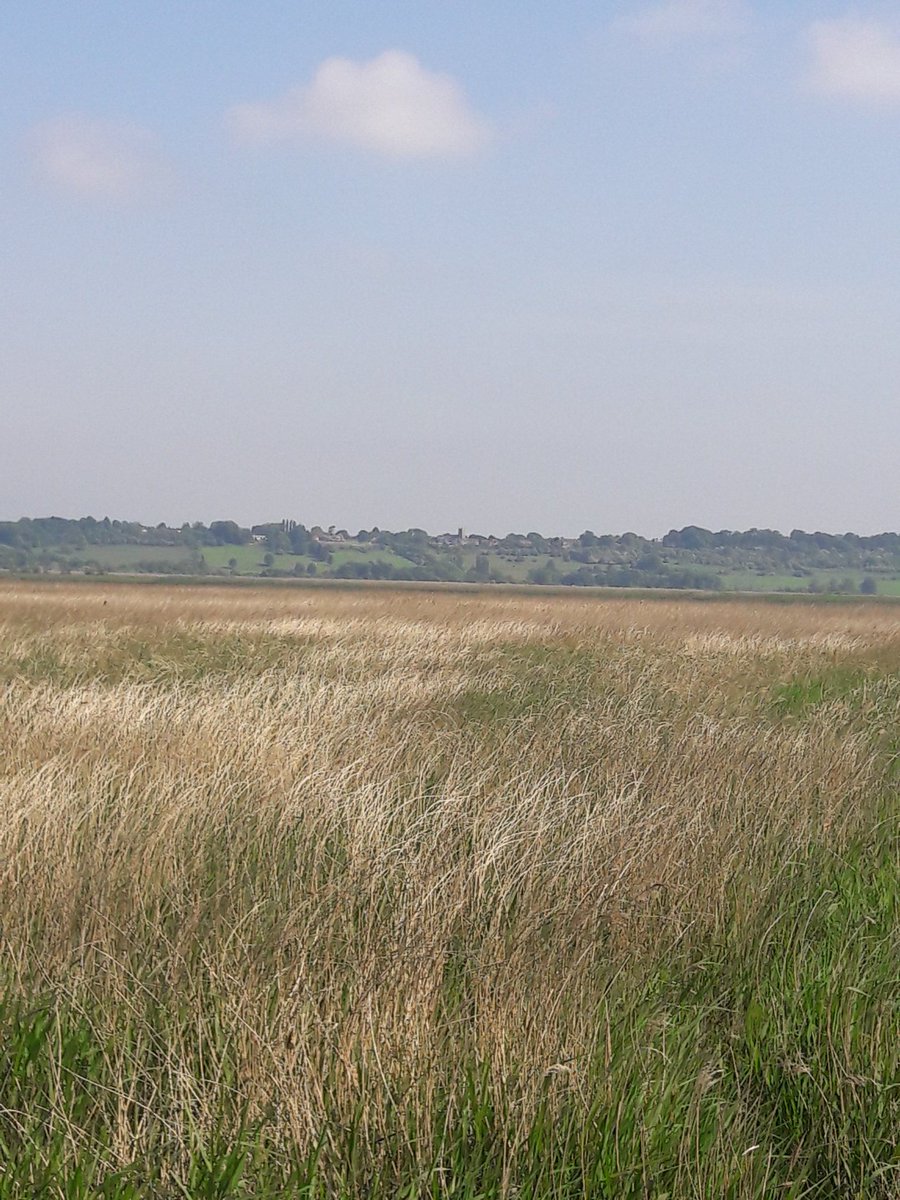 TMinfo18's tweet photo. So close but so far. #Northlincs looks great from #faxfleet  . Think its alkborough on the hill https://t.co/4CKO2BKiLI