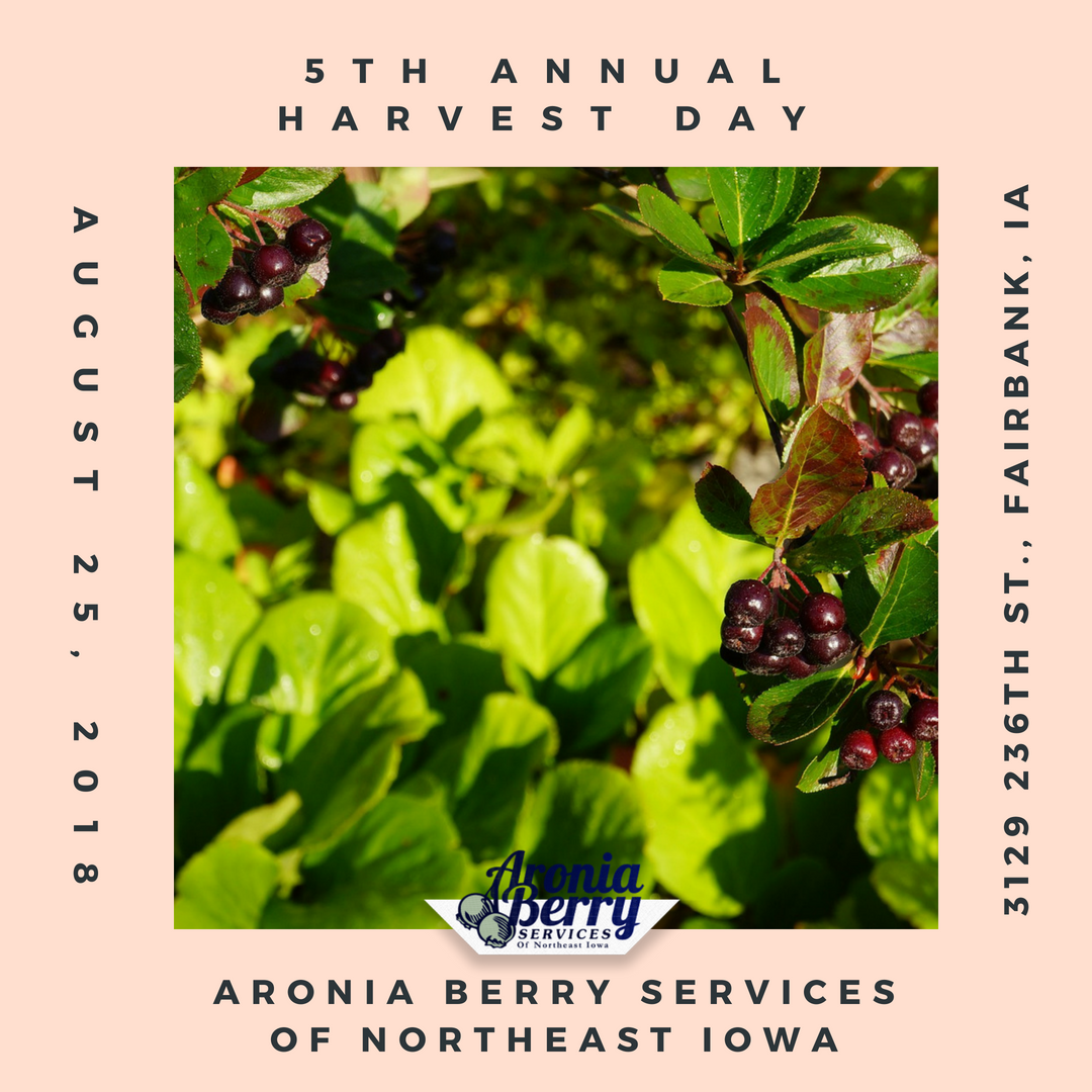 AroniaBerryServ's tweet photo. Join us at the 5th Annual Harvest Day on August 25th, 2018 at 3129 236th St., Fairbank, IA. Mark your calendars now, summers fill up fast! https://t.co/FkOMbKdNdF
