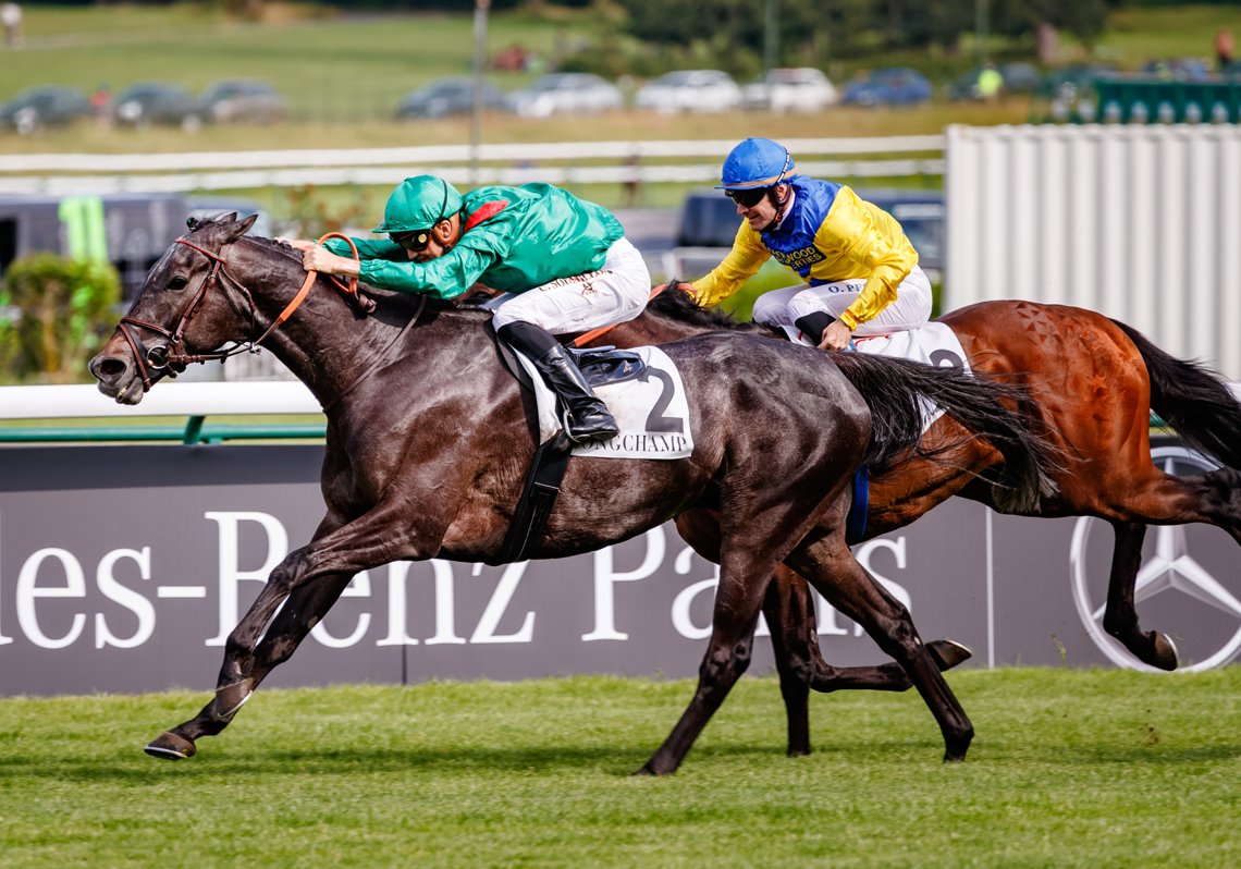 AgaKhanStuds's tweet photo. Les Aga Khan Studs brillent à @paris_longchamp avec un troisième Vicomtesse Vigier G2 pour #Vazirabad et un deuxième Groupe 1 pour #Laurens (#Siyouni). Pour plus d'informations : https://t.co/325z2KL7Uv
#Topclassstayer #Topclassfilly https://t.co/nbtD5IB9fP