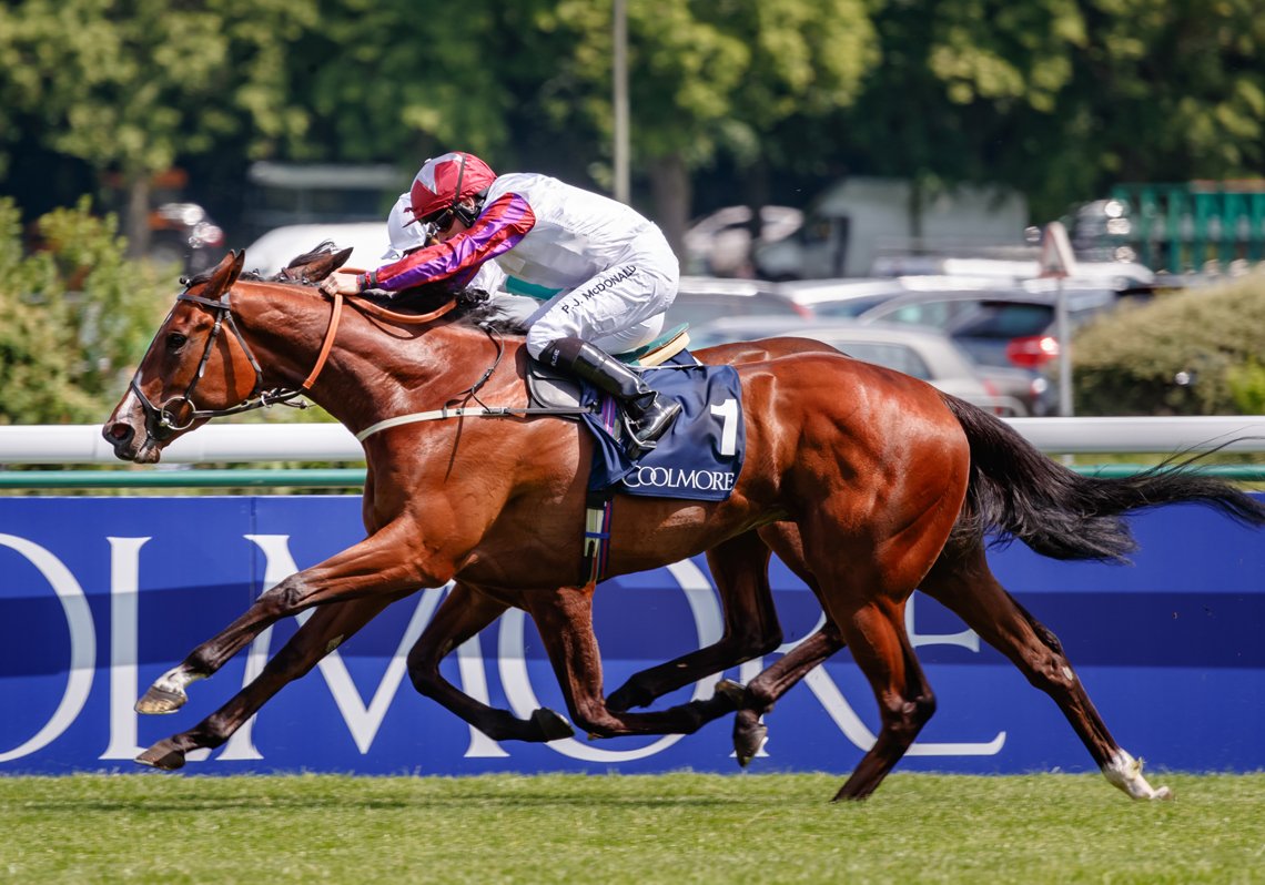 AgaKhanStuds's tweet photo. Les Aga Khan Studs brillent à @paris_longchamp avec un troisième Vicomtesse Vigier G2 pour #Vazirabad et un deuxième Groupe 1 pour #Laurens (#Siyouni). Pour plus d'informations : https://t.co/325z2KL7Uv
#Topclassstayer #Topclassfilly https://t.co/nbtD5IB9fP