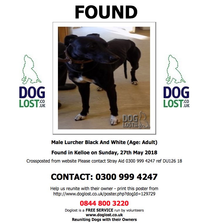 DogLostUK's tweet photo. https://t.co/jt1sXwNKjV
#FOUND UNKNOWN
Male #Lurcher
#Kelloe #DH6
Sunday, 27th May 2018 #FoundDog https://t.co/RJkfjKWDvc @VetsGetScanning @SAMPAuk_ https://t.co/eILzwPbLkb