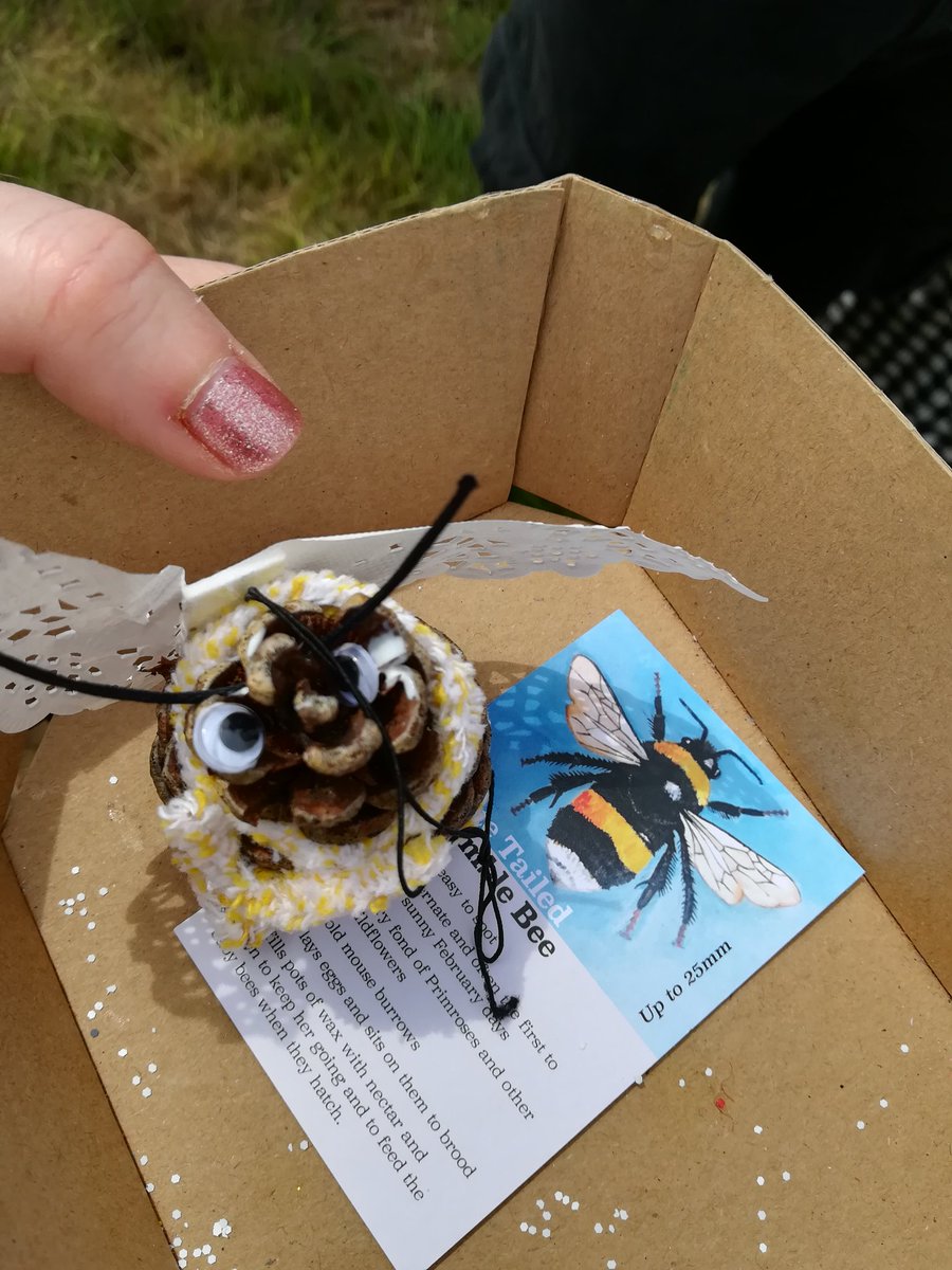 LadyLastMinute's tweet photo. @CreativeOrch @fairylandtrust White-Tailed Bumble Bee!!! One of my favourite things to do whilst at the Fairy Fair 2018. #primrosemeadow #stradsetthall #fairyfair #whitetailedbumblebee #bumblebee #nature #environment #trees #wildflowers https://t.co/oG9WUic9Vd