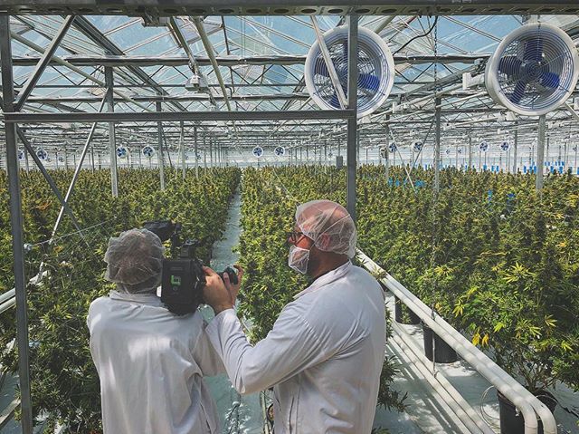 Fourgrounds (@fourgrounds) on Twitter photo Shooting our tour of one of Canada’s fastest growing industries. 🌱 @tweedfarms <a href="/the_gncc/">The Greater Niagara Chamber of Commerce</a> ift.tt/2JaLcNL Shooting our tour of one of Canada’s fastest growing industries. 🌱 @tweedfarms <a href="/the_gncc/">The Greater Niagara Chamber of Commerce</a> ift.tt/2JaLcNL