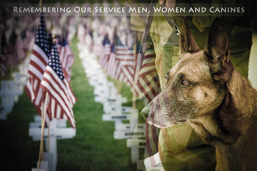 All of us at Barks &amp; Recreation would like to say #ThankYou to the Men, Women, and #K9 members of the #ArmedForces and #FirstResponders who keep us all safe and allow us the opportunity to live our lives with our fur babies free and happy!

#ThankYouForYourService!