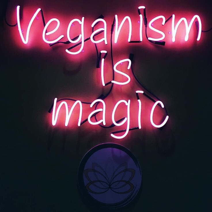Who’s with us?!? #veganismismagic  

#vegfestokc #vegan #vegetarian #plantbased #health #wellness #fitness #food #environmentsustainability #animalrights #foodfestival #festival