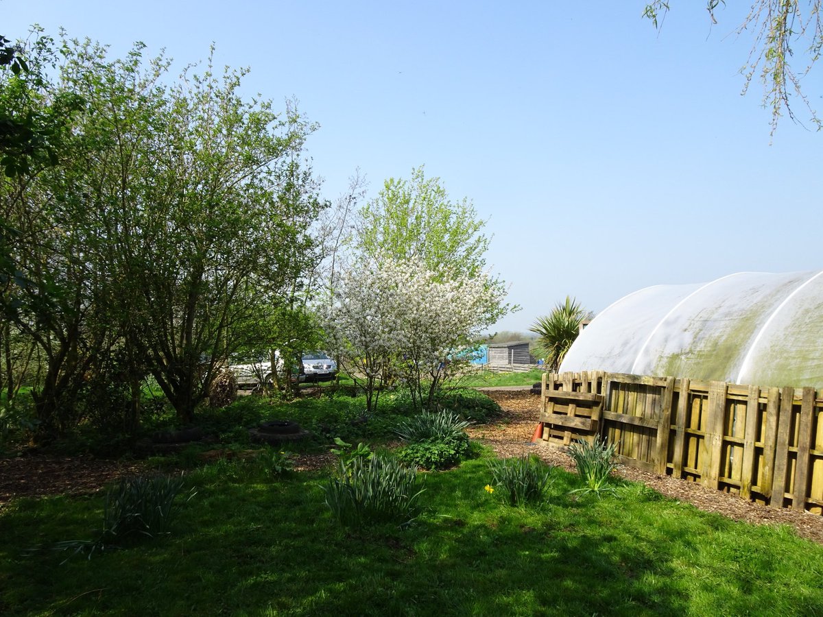 BoundaryWay's tweet photo. More wonderment at Boundary Way -experience the tranquillity of our #communitygarden &amp; #soundtherapy of Liz Pritchard @BDSoundTherapy at our next #GongsintheGarden relaxation session (now rescheduled)on the 28th June - book here https://t.co/UR19BWDQPx #artsandhealth #wellbeing https://t.co/l8gGdPCKqr