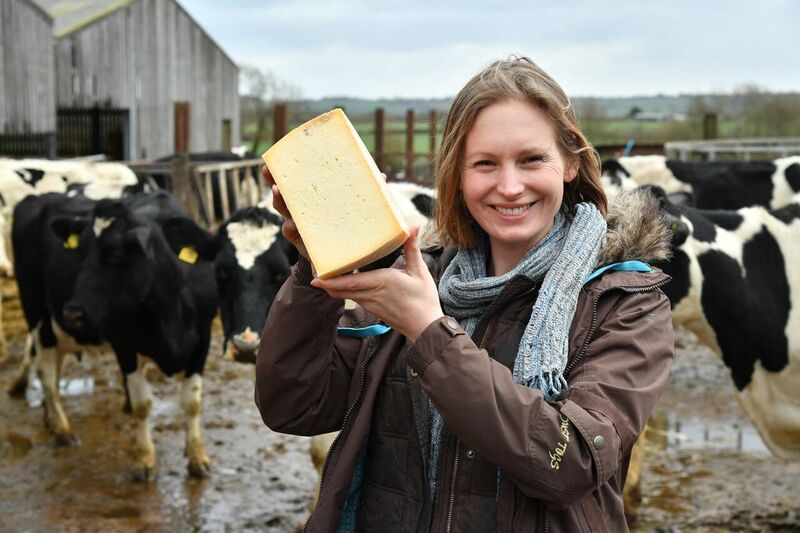 BritCheeseAward's tweet photo. Awards countdown: #cheesemakerday @BrinkworthDairy Cery Collingham, the fifth generation of the family to have made cheese on the farm, with the cows before milking  #BCA18 https://t.co/w5AImiZzqD