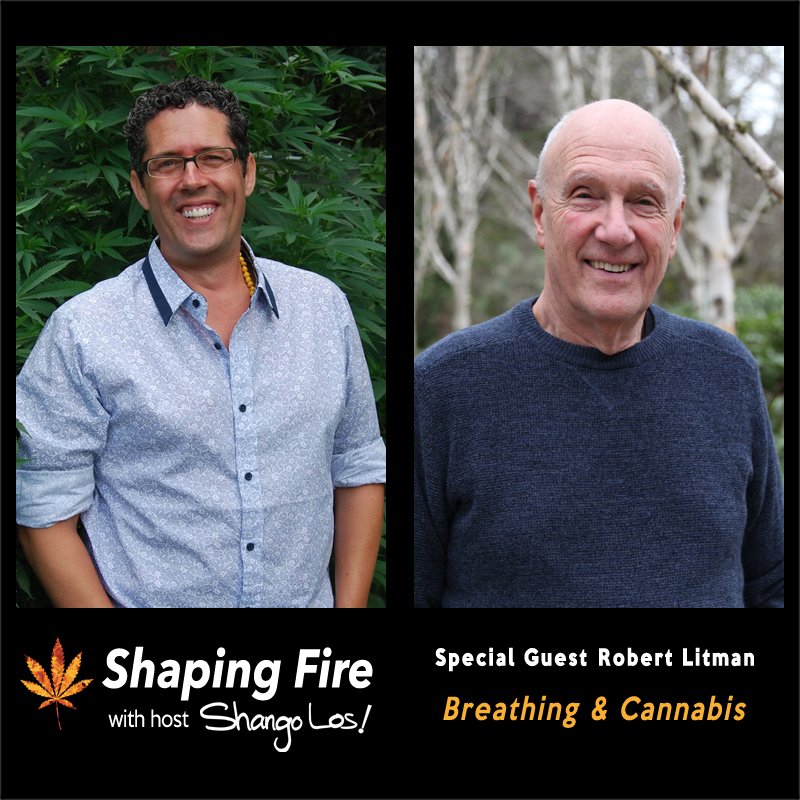 ShapingFire's tweet image. #Breathing is an essential part of enjoying #cannabis and yet we rarely think about it. On today's episode, Robert Litman talks about the mechanics of breathing, what happens when we inhale cannabis, and best practices for keeping our lungs healthy. bit.ly/2L3ZRaR