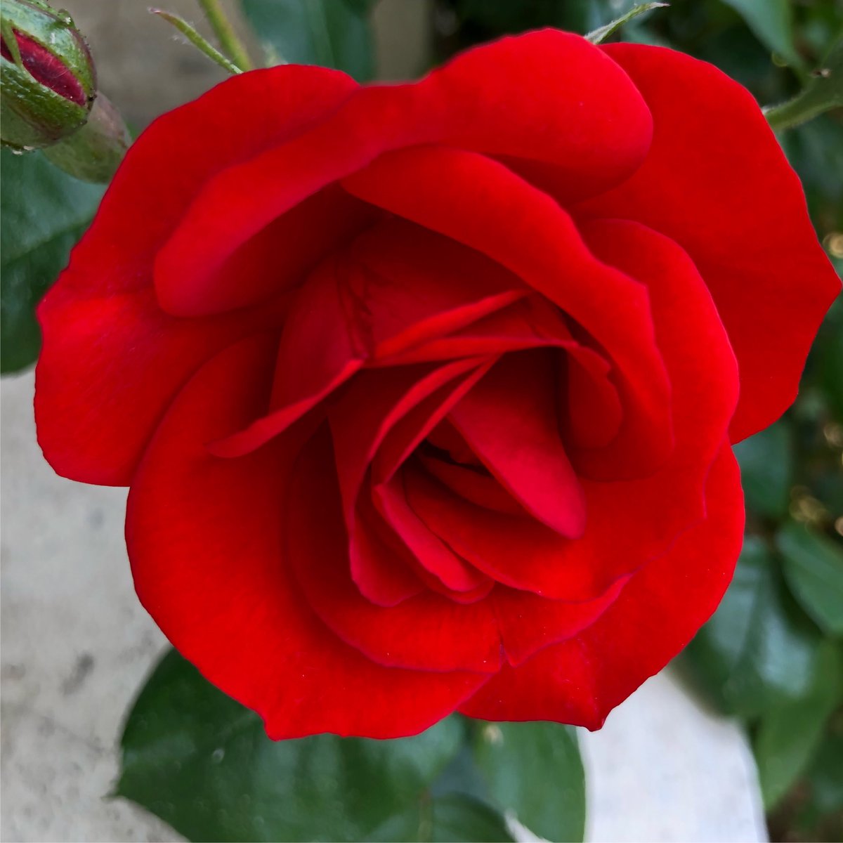 Nath On Twitter May Every Day Be Filled With Love