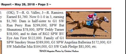 GranadaFarms's tweet photo. PRINCE OF BO DASH (Bodacious Dash-Telia Princess, by Separatist) qualifies to the G1 Ruidoso Derby! Congratulations to the connections. Breeder Jeff Calender, owner Bobby Simmons, trainer Rodolfo G. Valles, jockey Ricky Ramirez. #BodaciousDash

Photo ©️ TRACK Monday Report https://t.co/d8zcWkx02Q