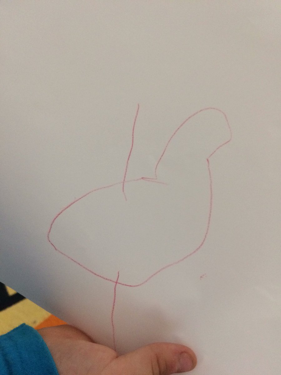 teacher_sutton's tweet photo. “This is a penguin. Here is a wing and here is the other wing.” @SMESBelleville https://t.co/GJ51BIWQby