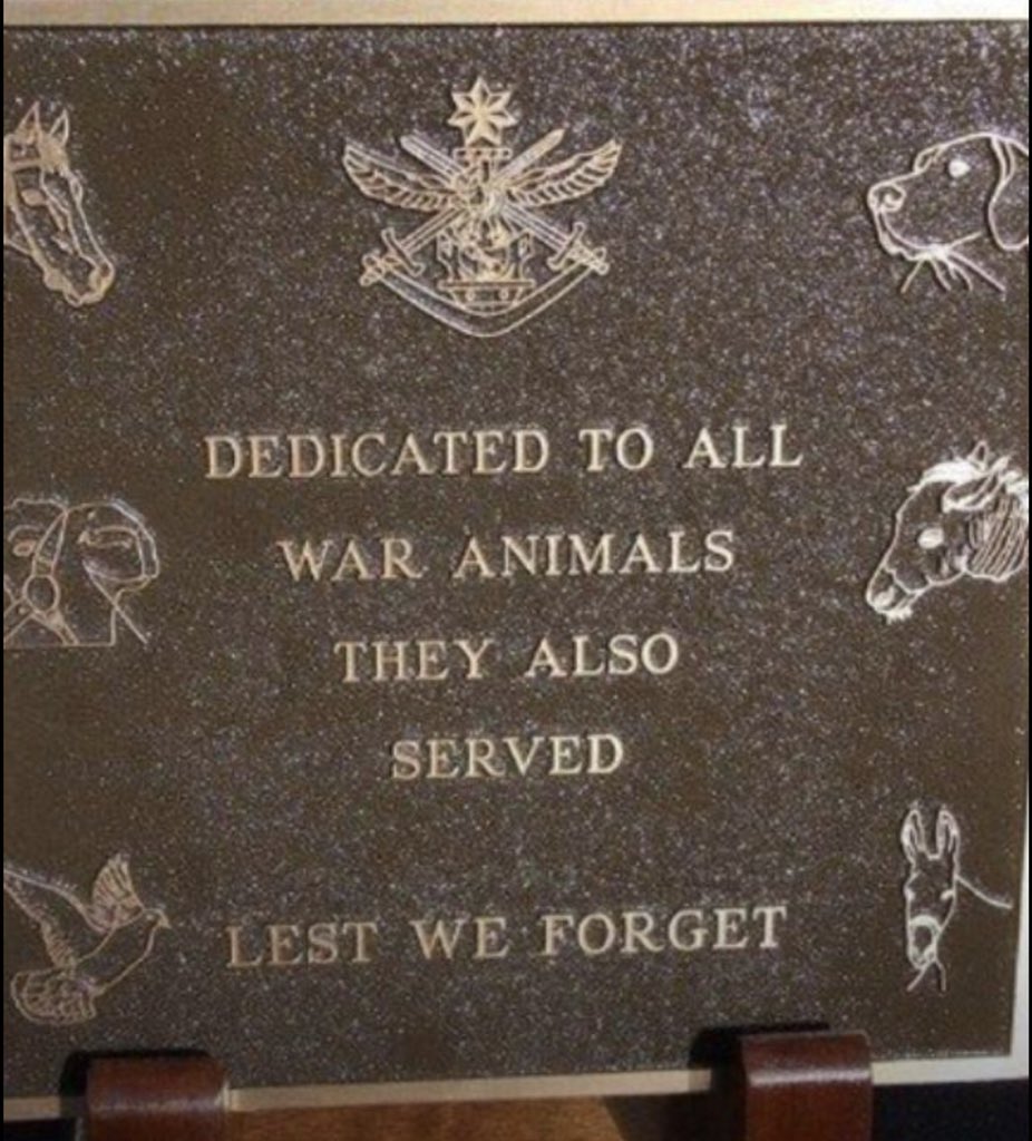 flutist_kim's tweet image. Remembering all who served &amp;amp; gave their lives. #MemorialDay2018 #AnimalsOfWar #DogsOfWar