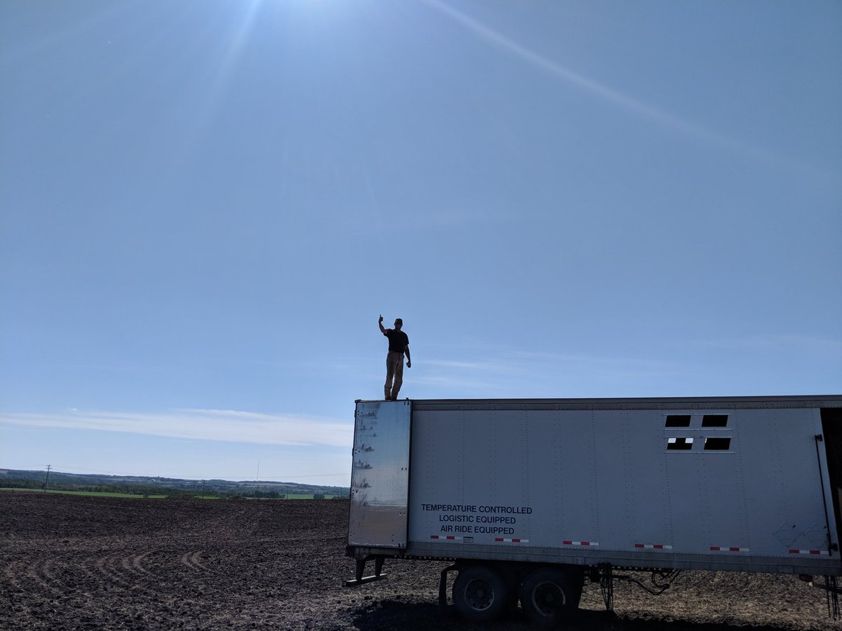 242drafthorses's tweet photo. One of our teamsters getting a higher perspective https://t.co/fsdkU5Lazw