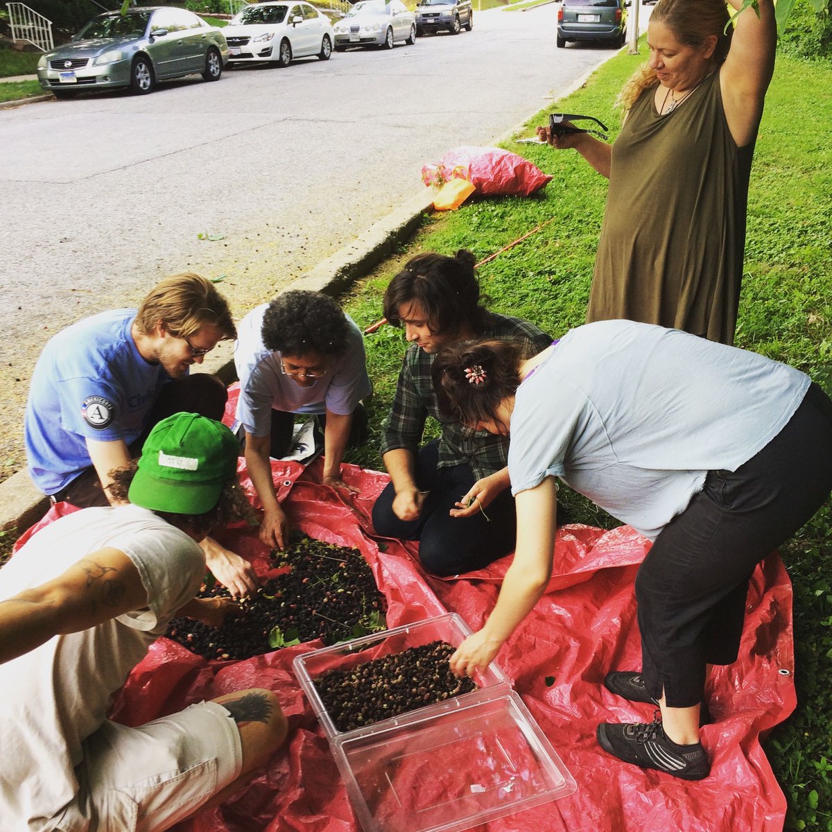 Baltimore Orchard tweet media