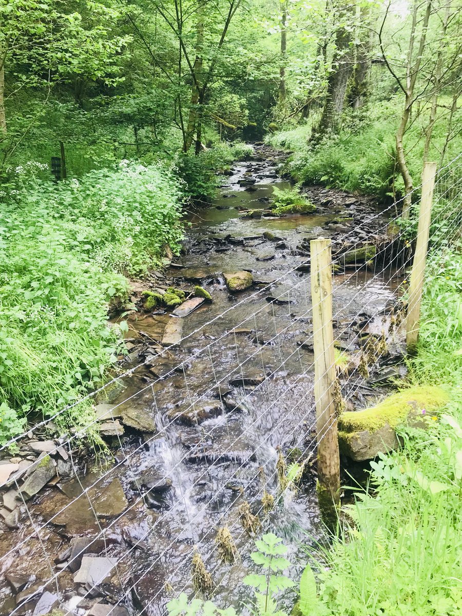 helenski13's tweet photo. 4.8 miles. Day 28 β
got completely lost but was quite the adventure. #fitfam #mentalhealth #run #hotcheeks https://t.co/2bkkpm3wsG
