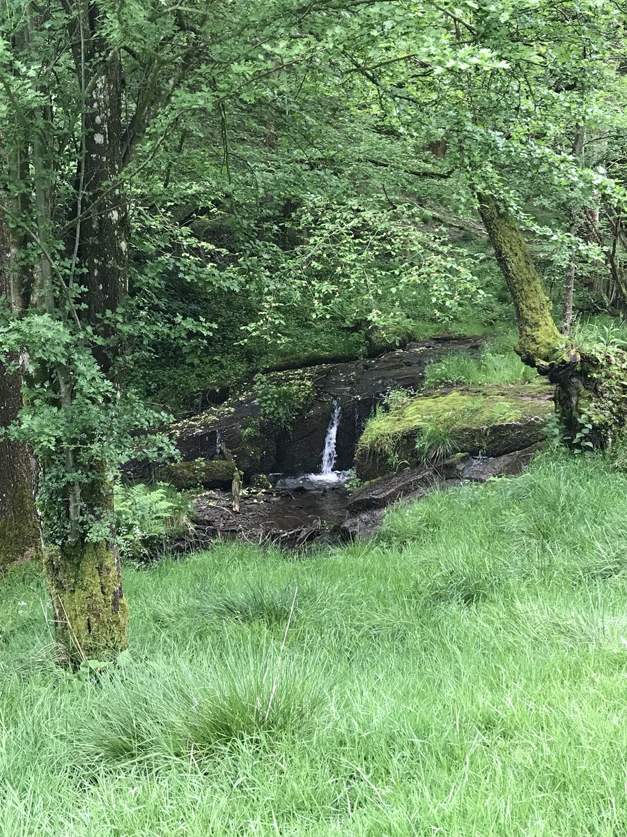 helenski13's tweet photo. 4.8 miles. Day 28 β
got completely lost but was quite the adventure. #fitfam #mentalhealth #run #hotcheeks https://t.co/2bkkpm3wsG