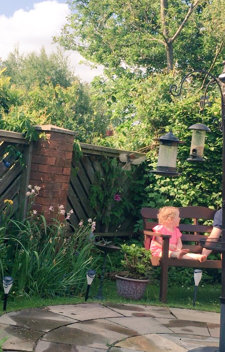 SlimmingMCR's tweet photo. Amazing photo, just a shame Emily was too busy chatting to grandad. She promises to pay more attention to @BBCSpringwatch @ChrisGPackham @michaelastracha https://t.co/jwLQd15pgn