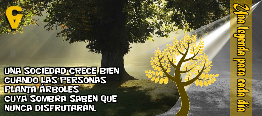 VCaminante2016's tweet photo. Una sociedad crece bien
cuando las personas
planta árboles
cuya sombra saben que
nunca disfrutarán. https://t.co/g3g4xU3KPH