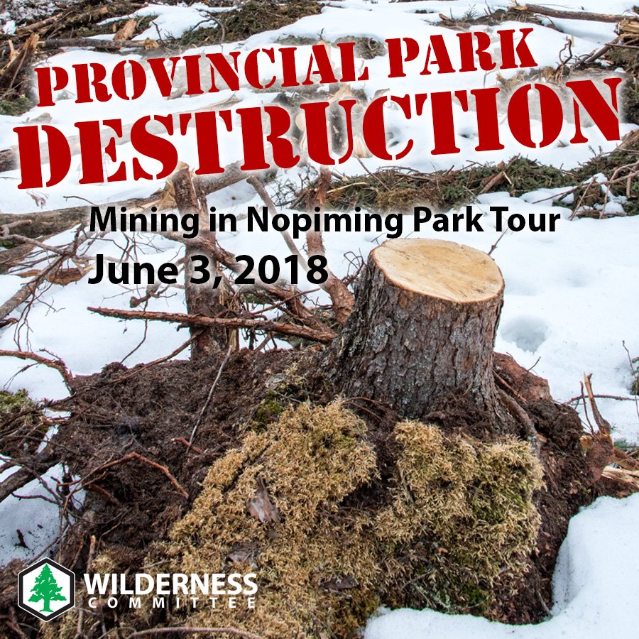 WilderNewsMB's tweet photo. Have you signed up yet? Our Mining in Nopiming Park Tour is this upcoming weekend! 🌞 Join us for a hike through the vibrant #Nopiming Provincial Park and witness the destruction being permitted by @MBGov by registering here: https://t.co/T9aswdyzDo
#WPGEvent #GreenMB #MBpoli https://t.co/vwCW2ttkda