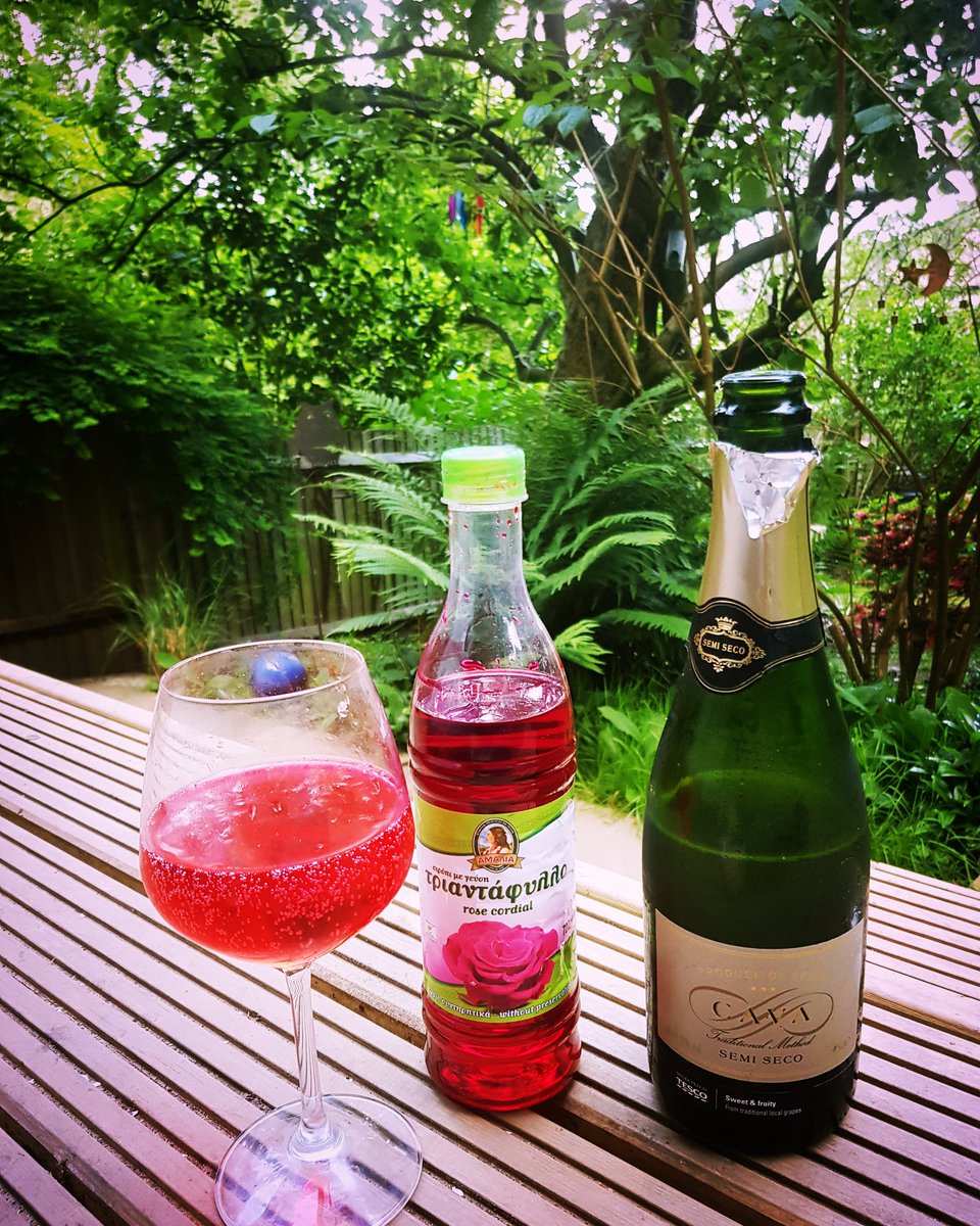 mooncat75's tweet photo. Don't knock it until you try it #rosefizz #daydrinking #BankHolidayMonday https://t.co/uWBR2wX65x