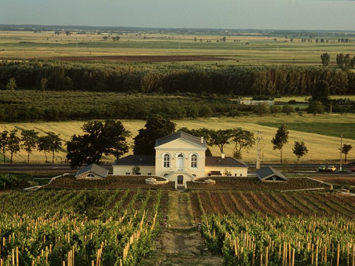 Elyxir ESSEC tweet media