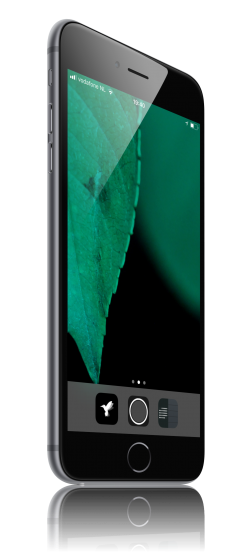Pascal654 tweet picture
