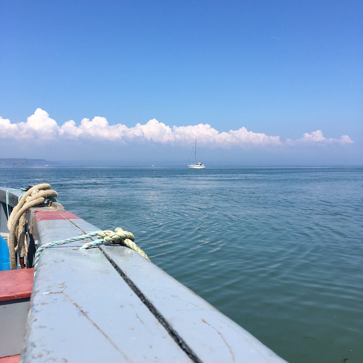 FreyaSykes's tweet photo. Wonderful day with #Blets over on #CaldeyIsland
Glorious weather. Couldn’t ask for better...better weather, better company, better location 💕💕💕💕 https://t.co/xdCwRjmx1X