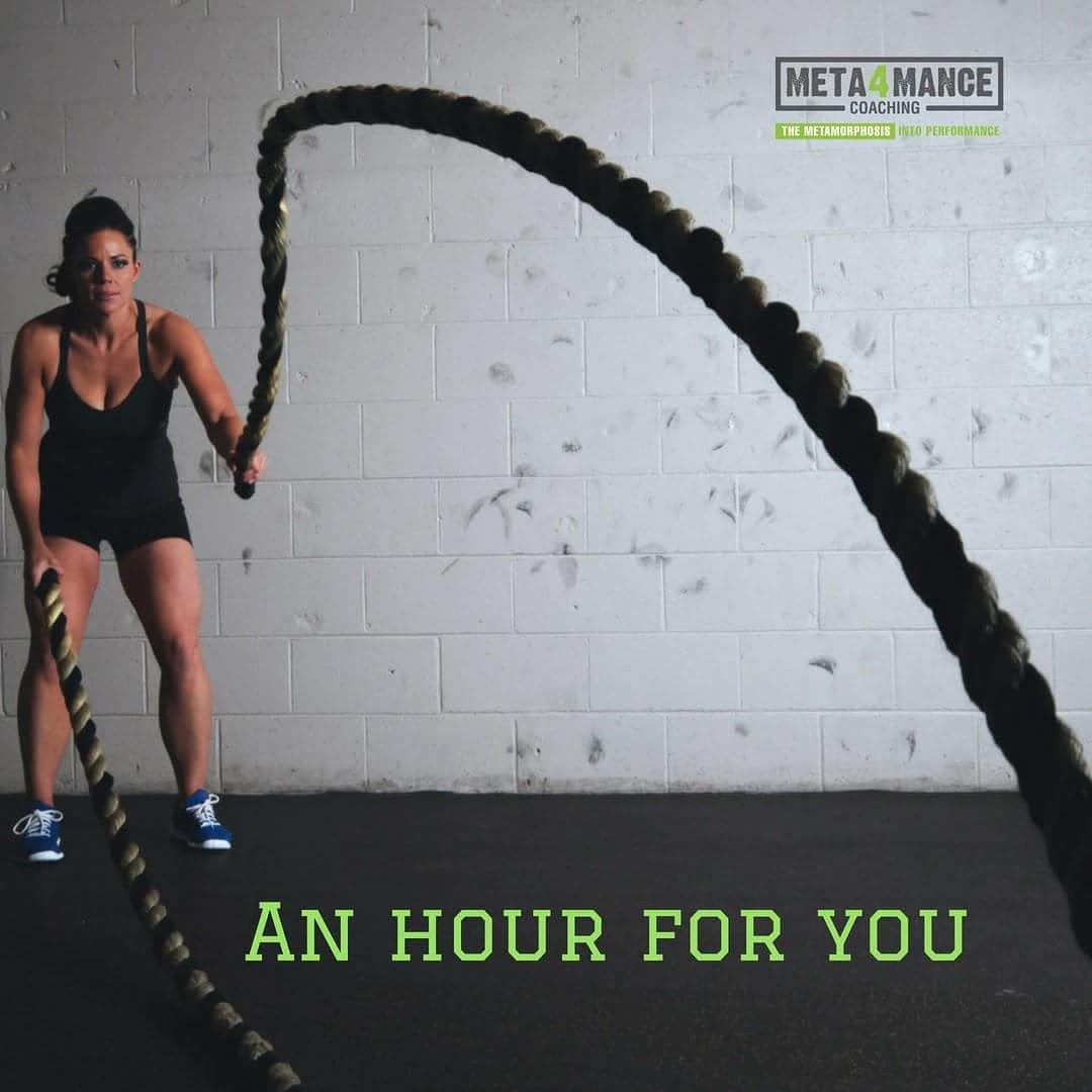 Meta4mance Coaching tweet media