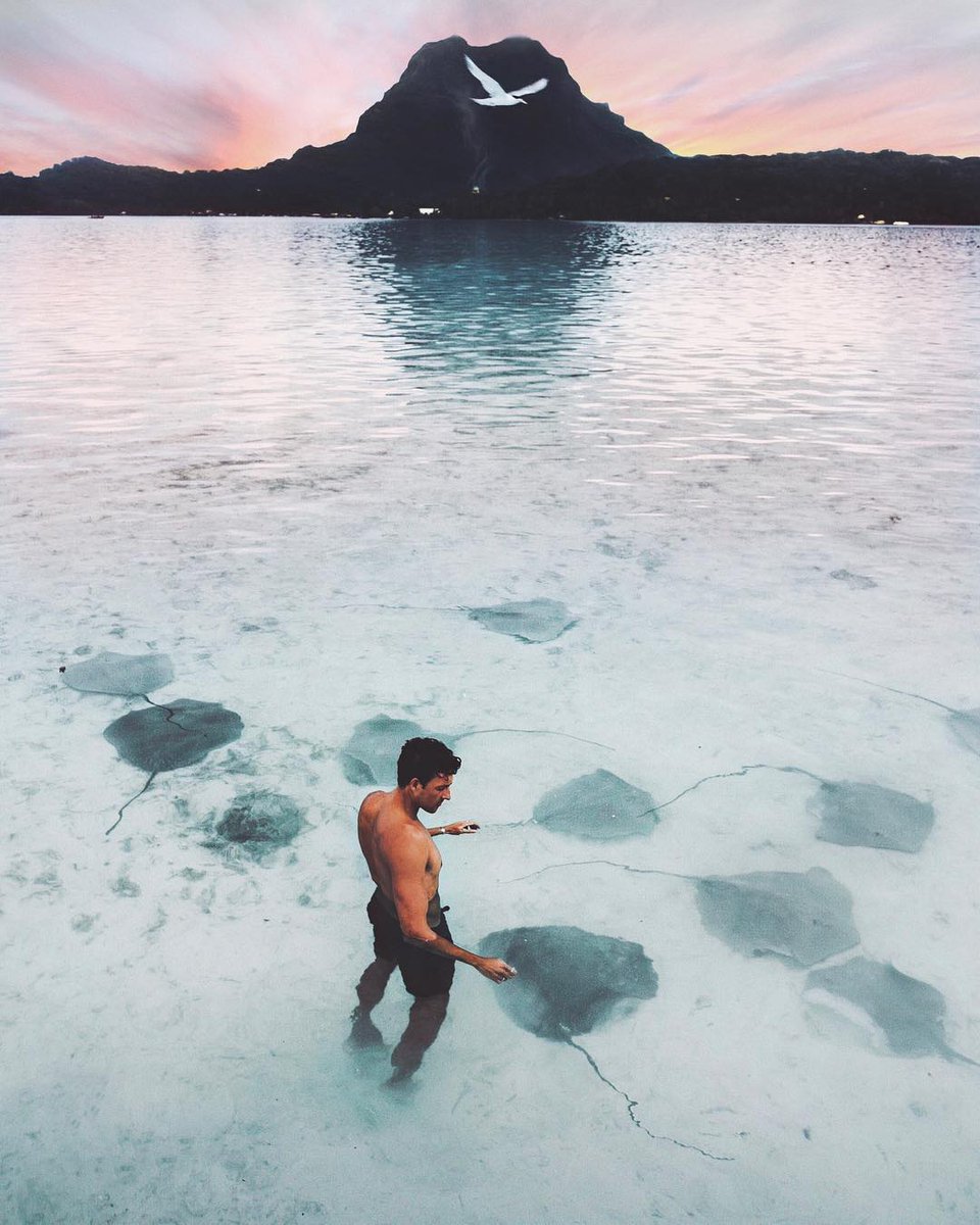 Bora Bora 😍 Give me mora mora!
.
.
.
📷: <a href="/zackkalter/">Zack Kalter</a>
#NatureNestd #Nature #Earth #Wilderness #Swim #Outdoors #Stingray #Travel #BoraBora #Ocean