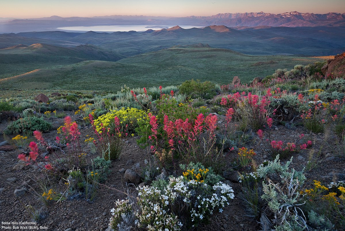 Wilderness's tweet photo. "Once man can no longer walk with beauty or wonder at nature, his spirit will wither." - Lyndon B. Johnson. https://t.co/rJarM1d4ye