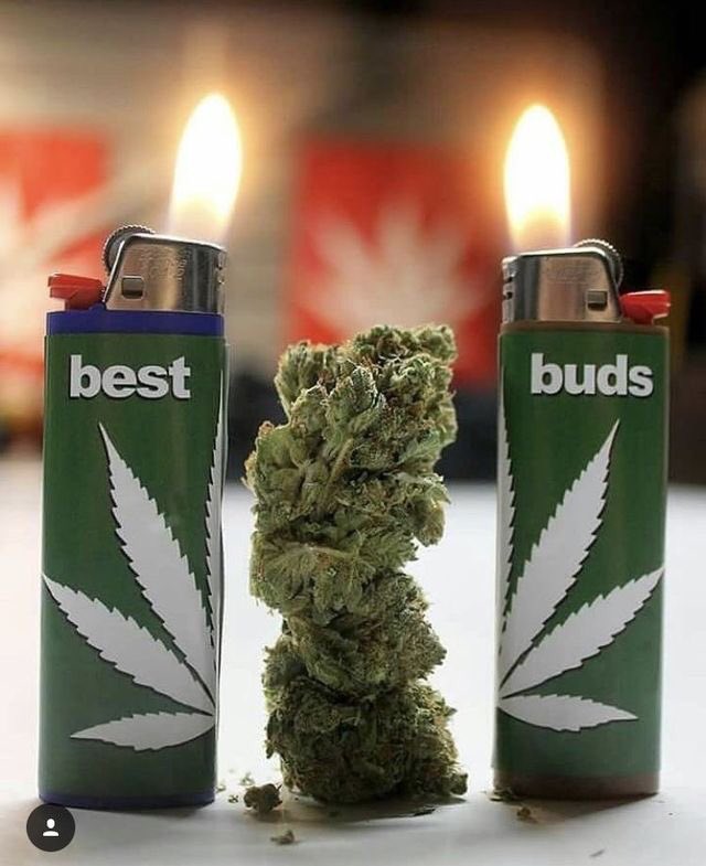 420_evaluations's tweet photo. Best Buds💚

Get #MedicalMarijuana Card: https://t.co/kHFDV8zJNn https://t.co/6ZLc4Dg2cl