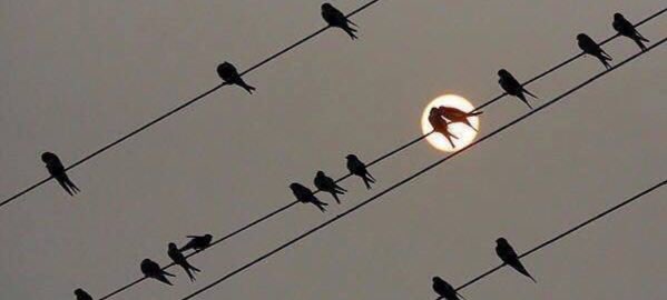 moon43785's tweet photo. اللهُّم بلغنا ما نود، وإجعل لنا دعوة لا تُرد، وأفتح لنا باباً إلى الجنه لا يُسد.. https://t.co/0MCGTYFXY8