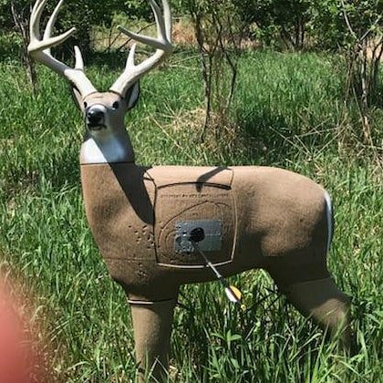 MattOlso3's tweet photo. Finally got my bow sighted in for this fall! My last shot was at 50 yards! https://t.co/2fHM70ACme