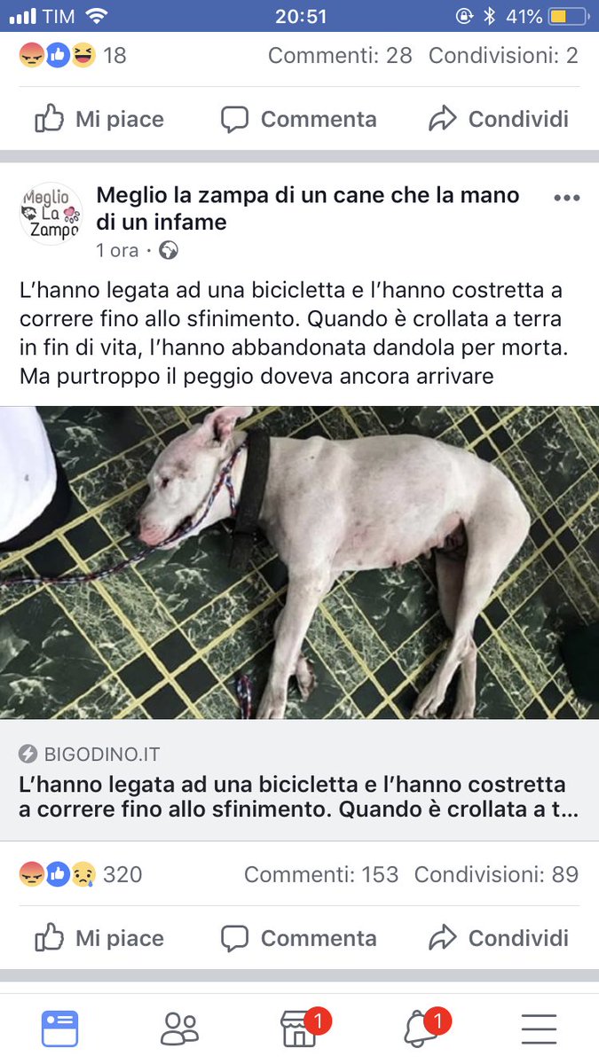 vittoriamaiutto's tweet photo. Vi lego alla bicicletta per le palle e ve le faccio strusciare sull’asfalto finché non si consumano, figli di troia. https://t.co/LGGQ2NzJ9U
