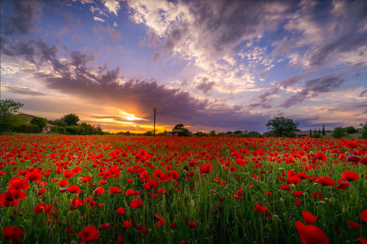 KelbyOne tweet picture