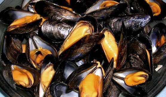 Descubren que mejillones de costa noroeste de EE.UU. dan positivo en opiáceos. El equipo investigador realizó dos estudios adicionales en 2016 y 2018 para determinar que los moluscos sufren contaminación de un amplio rango de medicamentos