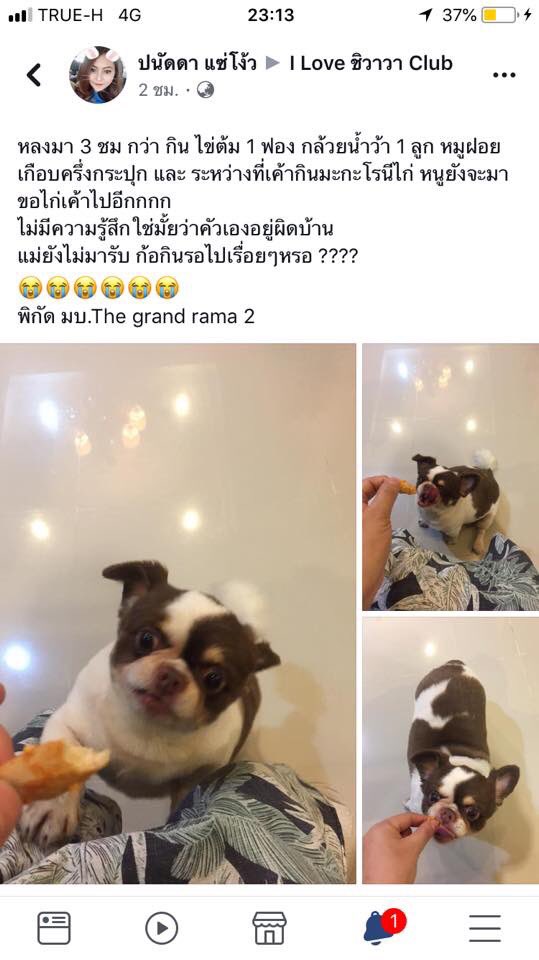 ninew tweet media