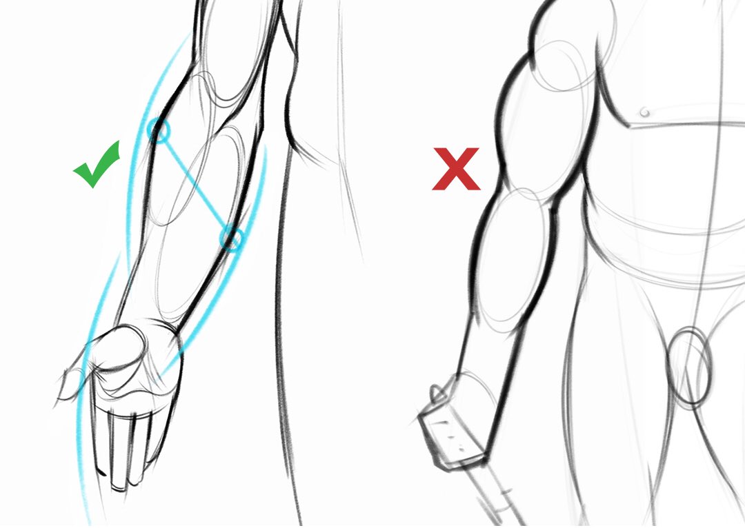 StanProkopenko's tweet image. To avoid the snowman effect use straight, angular lines and look for asymmetries. Compare the apex of both sides to understand the curvature better. Look for gesture through the muscle groups. A wave rhythm where the curve on one side leads into the next curve on the other side.