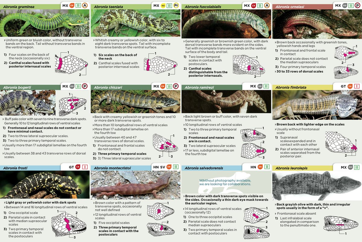 disertaciones filosóficas