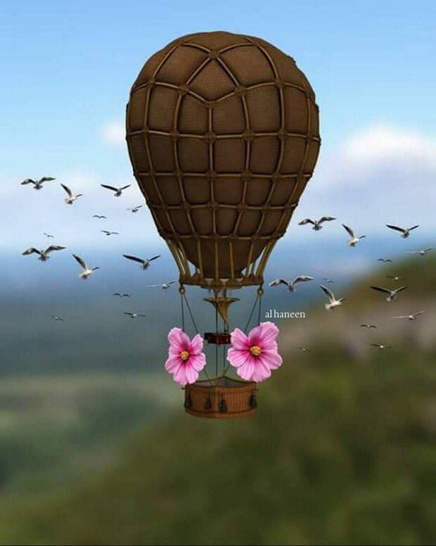 َ
َ

ما نحن سوى ...... أرواح عابرة #نسير 
في متاهات القدر ويوماً ما سيختفي #أثرنا

َ
َ